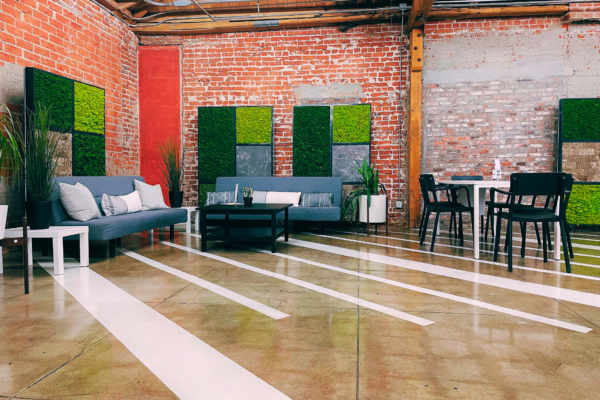 Market Research - Lobby Area at MG Studio